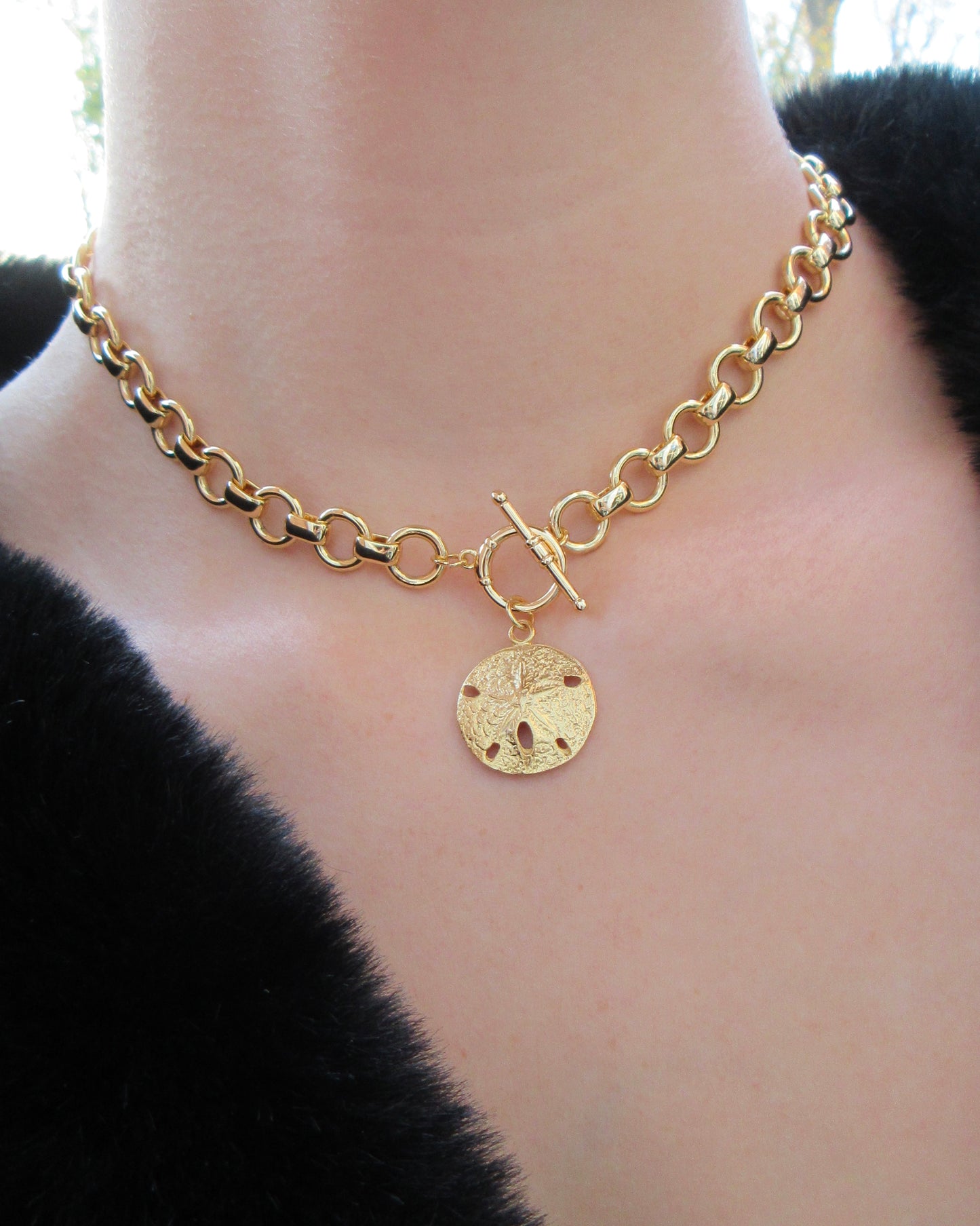 Gold Rolo Chain with Sand Dollar Charm