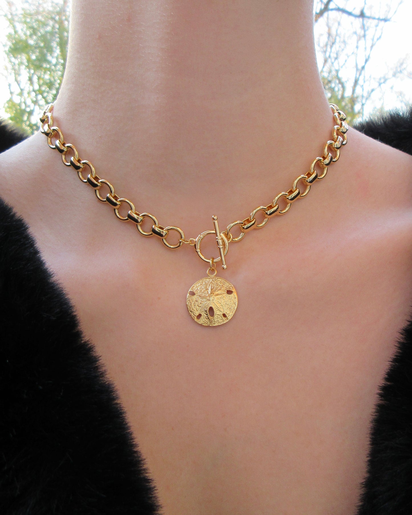 Gold Rolo Chain with Sand Dollar Charm